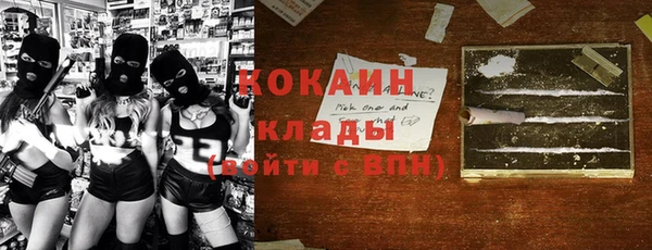 шишки Алексин