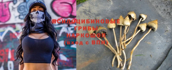 стаф Абдулино
