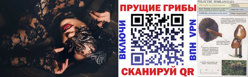 Галлюциногенные грибы MAGIC MUSHROOMS  Отрадное 